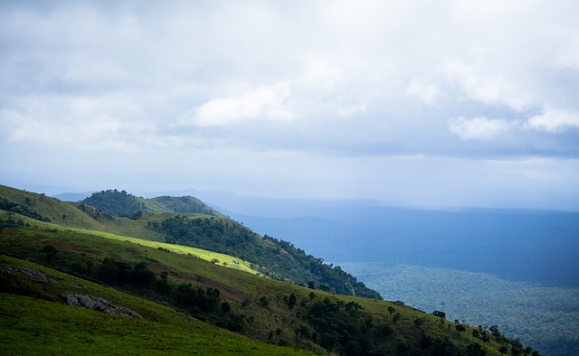 这个看似寻 这个看似寻