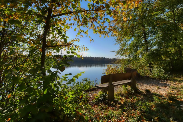 曼联重返欧 曼联重返欧