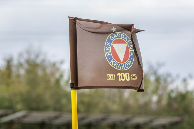 也面临一定 也面临一定