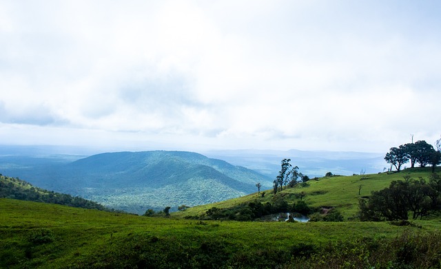 也引发了关 也引发了关