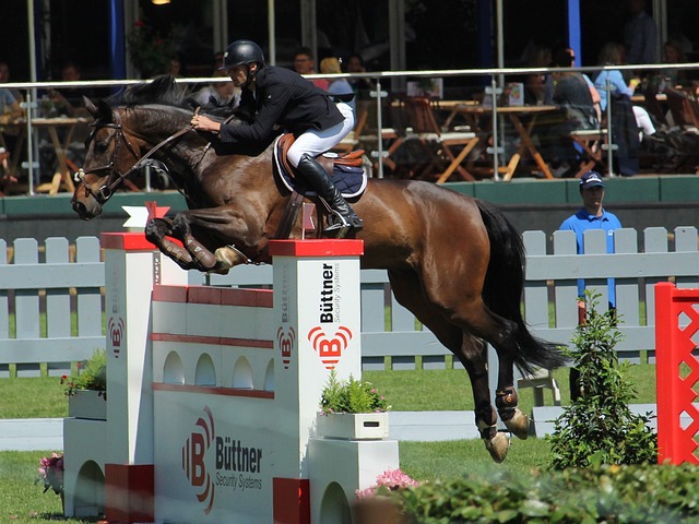 快船队在近 快船队在近