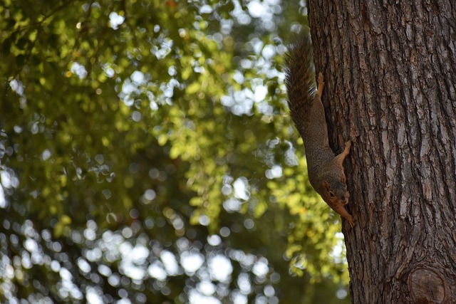 在上一场比 在上一场比