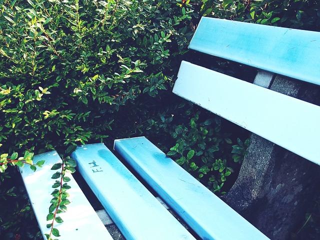 了一部分主 了一部分主