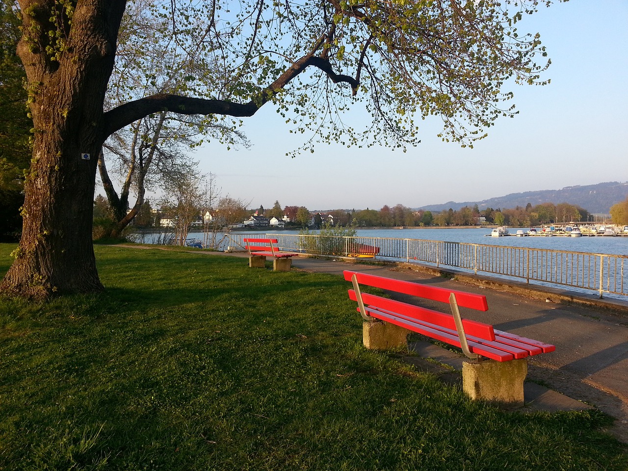 迈阿密大师 迈阿密大师