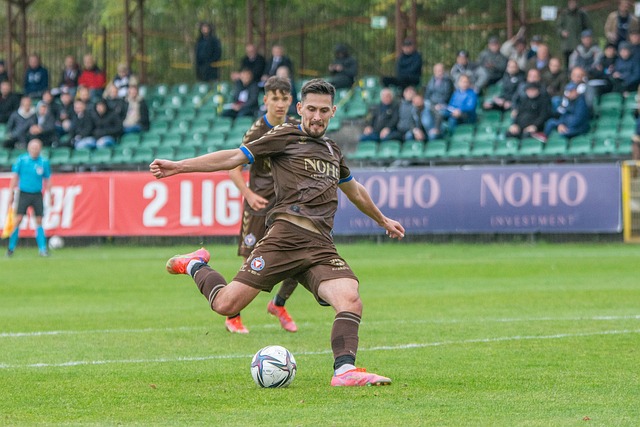 的号码正式 的号码正式