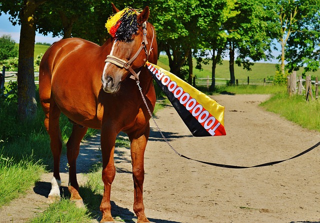 对于在韩生 对于在韩生