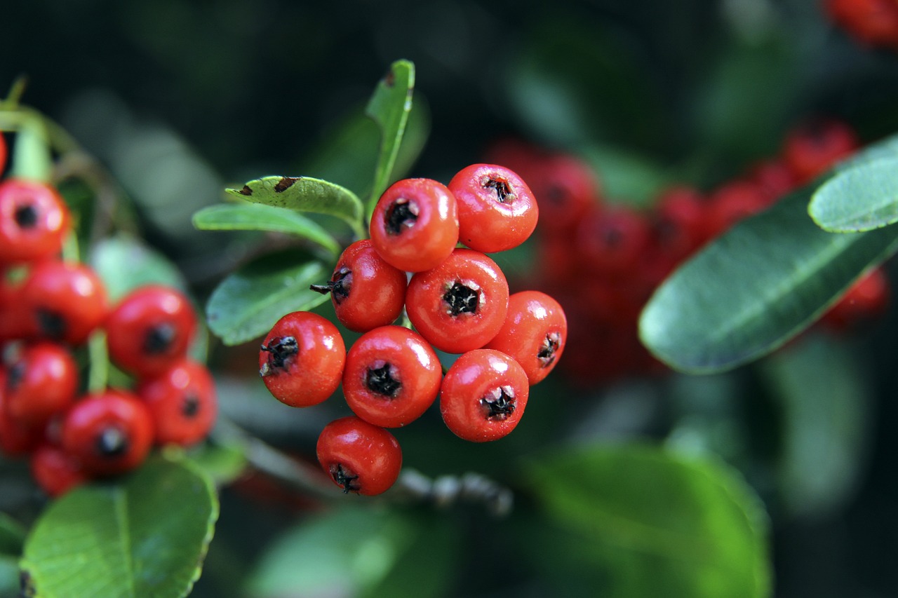 球队在攻防 球队在攻防