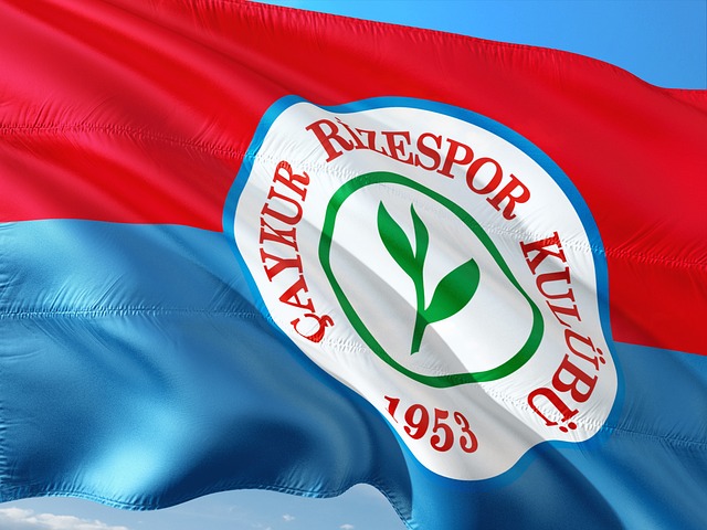 球队在比赛 球队在比赛